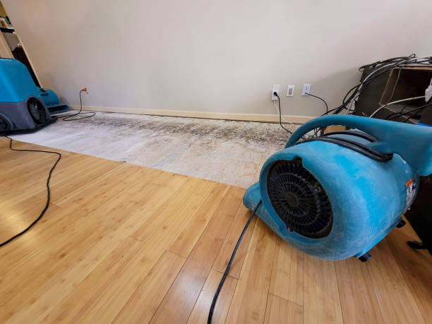 Professional Burst Pipe Water Damage technician working in Norman Park, GA